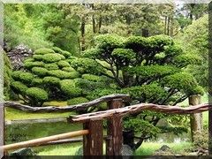 japan teagarden 4