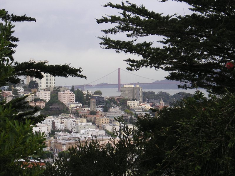 Vom Coit Tower aus,zur Golden Gate Bridge