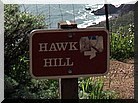 hawk-hill