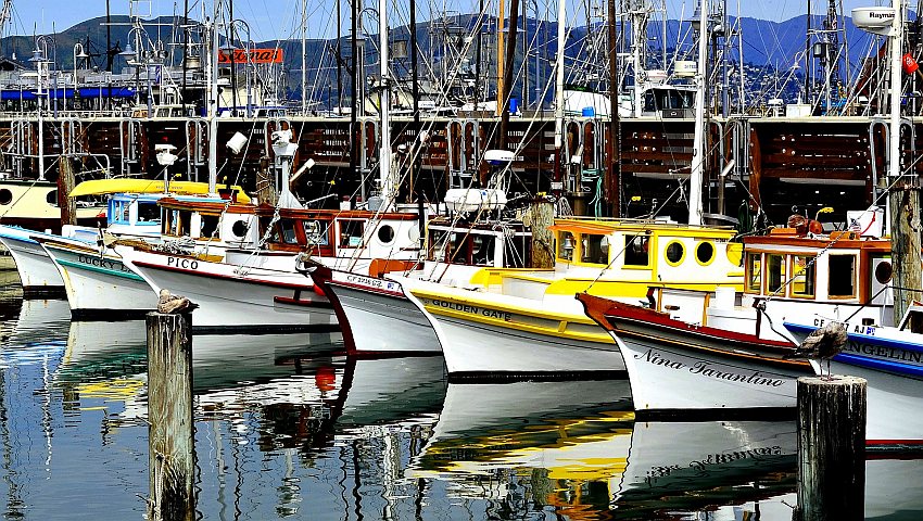 Fischerboote an Fishermans Wharf in San Francisco