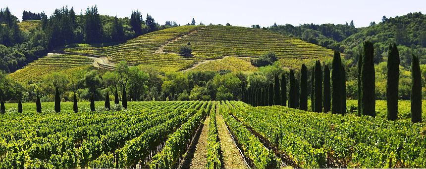 Sonoma Valley Weinanbaugebiet