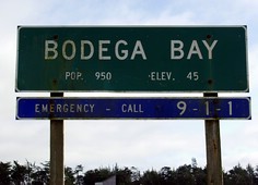 236 bodega bay