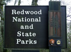 236 redwood sp