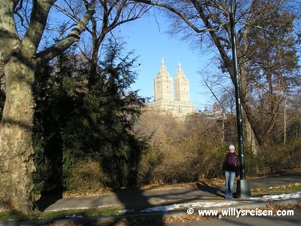 Im Central Park in New York City
